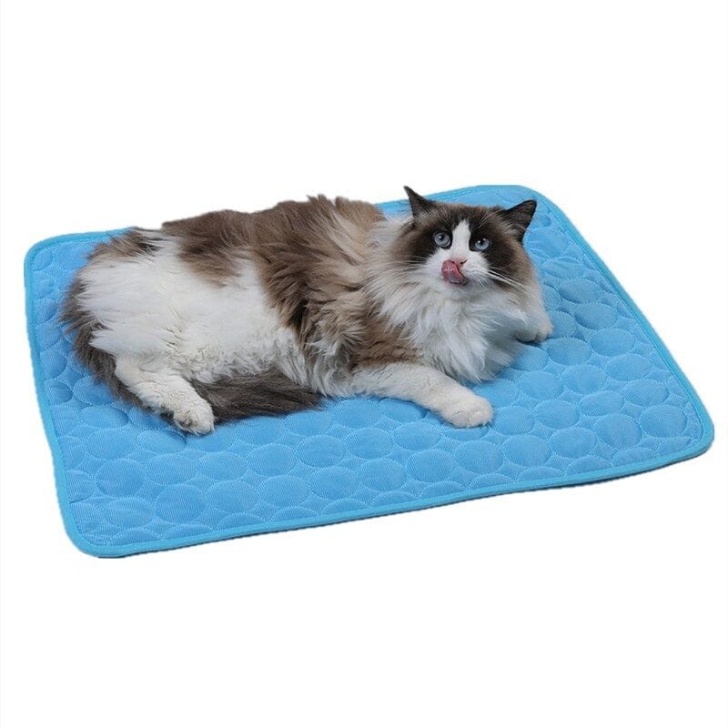 Summer Cooling Mat,Pet Ice Pad,Pet Accessories,Pet Sleeping Pad, Reusable Training Pad,Pet Products, Floor Mats Blanket,Cushion