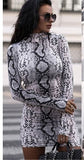 Sexy Women Turtleneck Long Sleeve Leopard Print Dress 2019 Snake Skin Evening Party Clubwear Dress Bodycon Fashion Women Dress