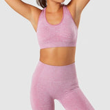 2PCS/Set Seamless Yoga Set Gym Sets Women Gym Clothes Sports Bra+Yoga Leggings Woman Gym Sportswear Female Fitness Clothing Suit