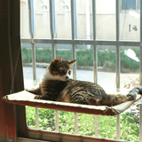 Cat window Bed - Jafsale.com