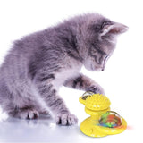 Cats Whirling LED Balls - Jafsale.com